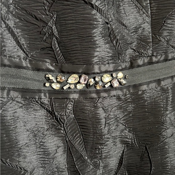 Max and Cleo Women’s Sleeveless Black Crinkle Puffball Dress- Size 12 - Picture 4 of 6